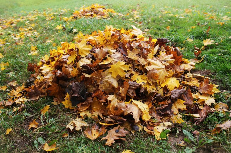 Fall Lawn Cleanup Image